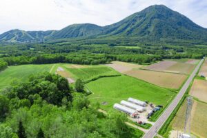 How Eco-Friendly Is Rusutsu? — Aiming to Evolve as a Resort in Harmony with Nature