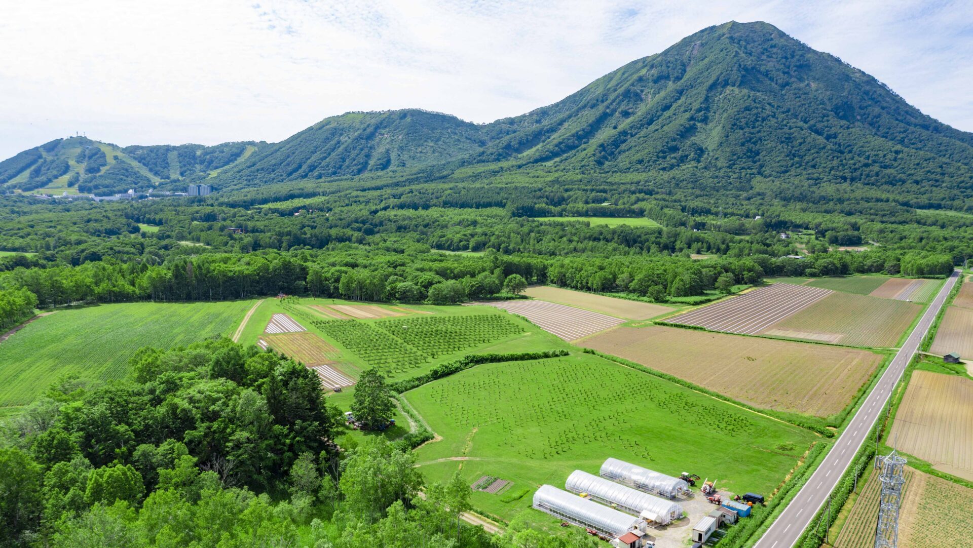 How Eco-Friendly Is Rusutsu? — Aiming to Evolve as a Resort in Harmony with Nature