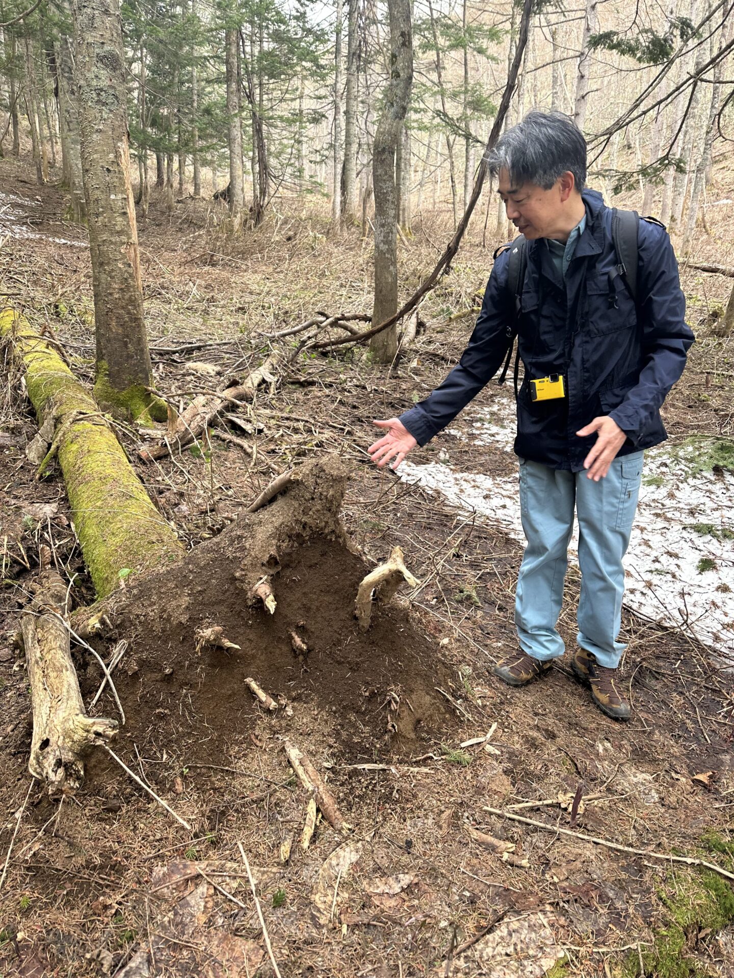地下水と森の関係を探る:蔵治教授と高嶋博士が歩いたルスツの地形