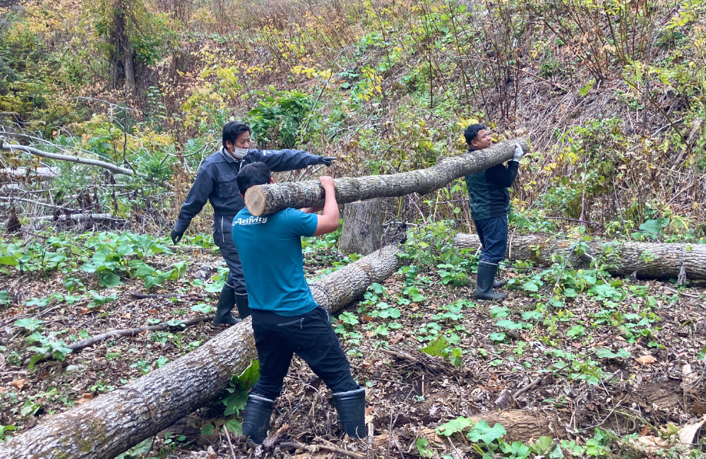 [ルスツ活動報告] 丸太を集めて「リーキーダム」の整備を行いました